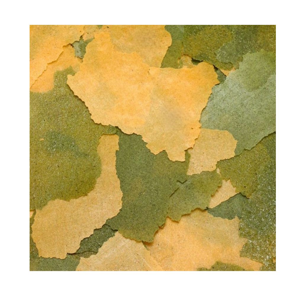 Close-up of spirulina-enriched Ocean Nutrition Cichlid Vegi Flakes showing texture and color