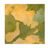 Close-up of spirulina-enriched Ocean Nutrition Cichlid Vegi Flakes showing texture and color