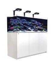 The all-new REEFER G2 series of Reef-Ready aquarium systems has improved upon the REEF-SPEC infrastructure of the original Red Sea REEFER series.