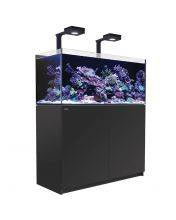 Red Sea Reefer G2+ 350 DELUXE (120x50x53cm) - Black