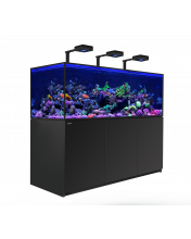Red Sea Reefer S G2+ 850 DELUXE (180x68x65cm) - Black