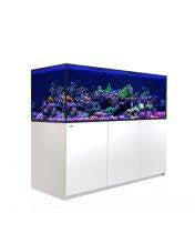 Red Sea Reefer S G2+ 850 (180x68x65cm) - White