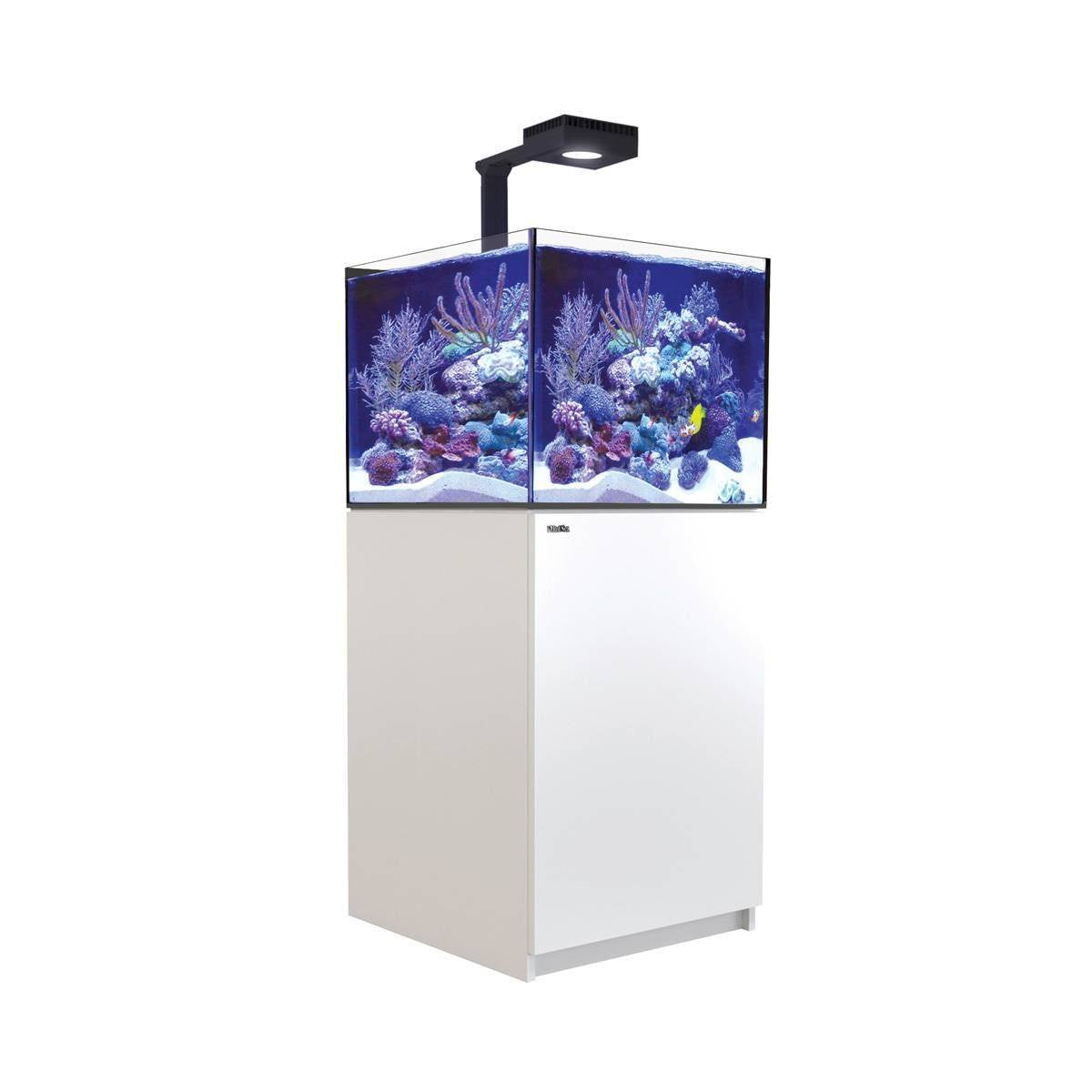 Red Sea Reefer G2+ 200 DELUXE (60x57.5x53cm) - White