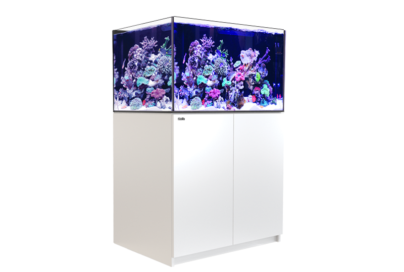 Red Sea Reefer G2+ 300 (90x57.5x55cm) - White
