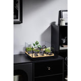 WYLD Scaper Delta Aquarium 16L displaying low-iron ultra-clear glass, black silicone seams, and elevated base