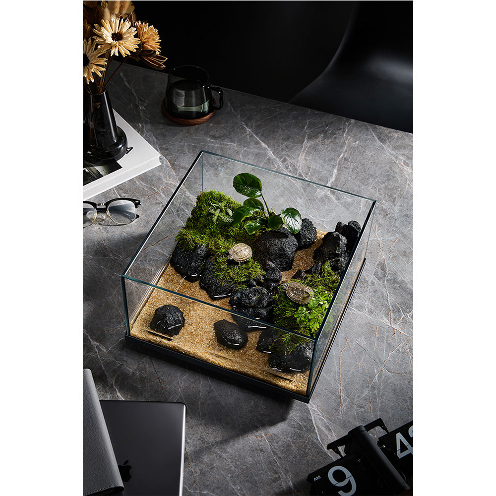 Top-down view of the shallow WYLD Scaper Delta 16L glass aquarium highlighting wide surface area