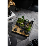 Top-down view of the shallow WYLD Scaper Delta 16L glass aquarium highlighting wide surface area