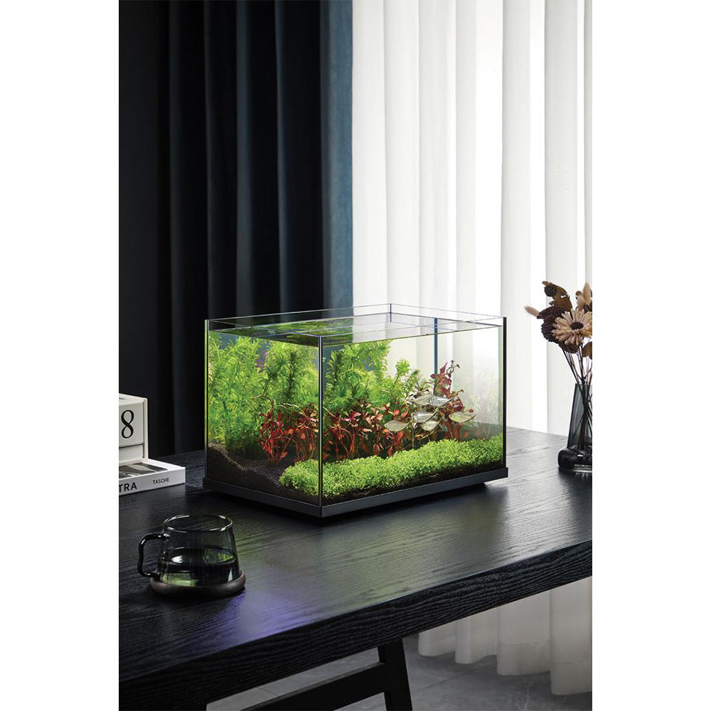 WYLD Scaper Forma Aquarium 27L displaying low-iron glass clarity, black silicone seams, and elevated base platform