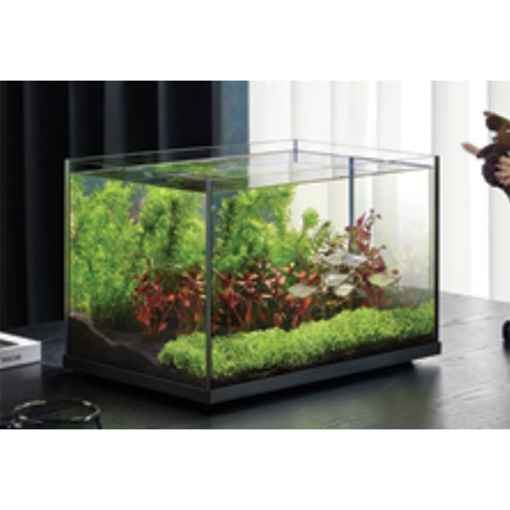 WYLD Scaper Vista Aquarium 48L displaying low-iron glass clarity, black silicone seams, and elevated base platform