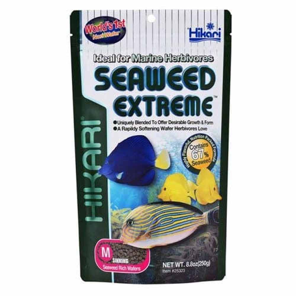 Hikari Seaweed Extreme Wafer 250g
