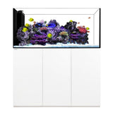 Waterbox Crystal Peninsula 6026 - White