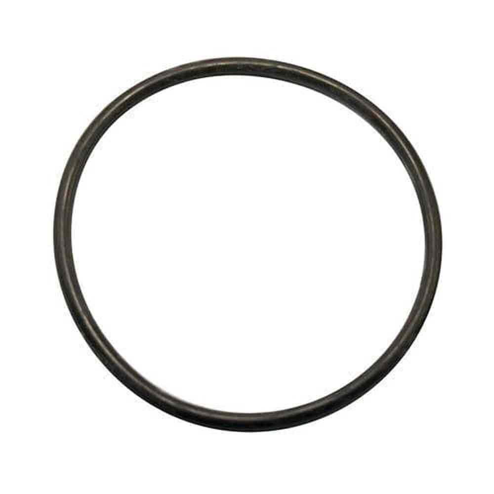 Two Little Fishies PhosBan Reactor 150 O-Ring