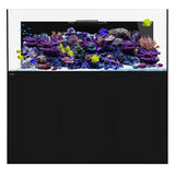 Waterbox Platinum Pro 230.6 - Black