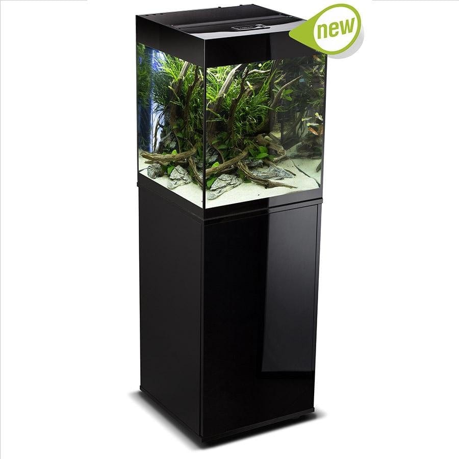 Cube clearance fish tank