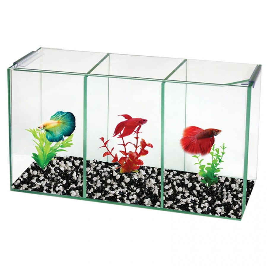 Aqua One Betta Trio Cube Aquaristic Online