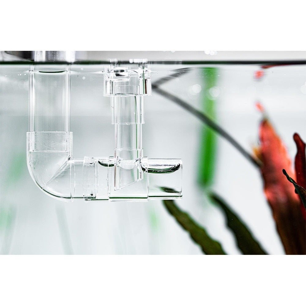 Aquario - Neo Skimmer L