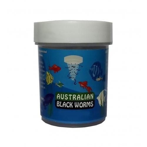 Australian Freezed Dried Black Worms Cubes 10g Jar