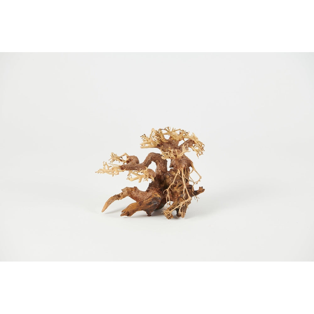 bonsai driftwood, aquascaping wood, planted tank decor, aquarium bonsai wood, 35x25cm bonsai driftwood, terrarium wood, Golden Tree Bonsai, natural aquarium decor