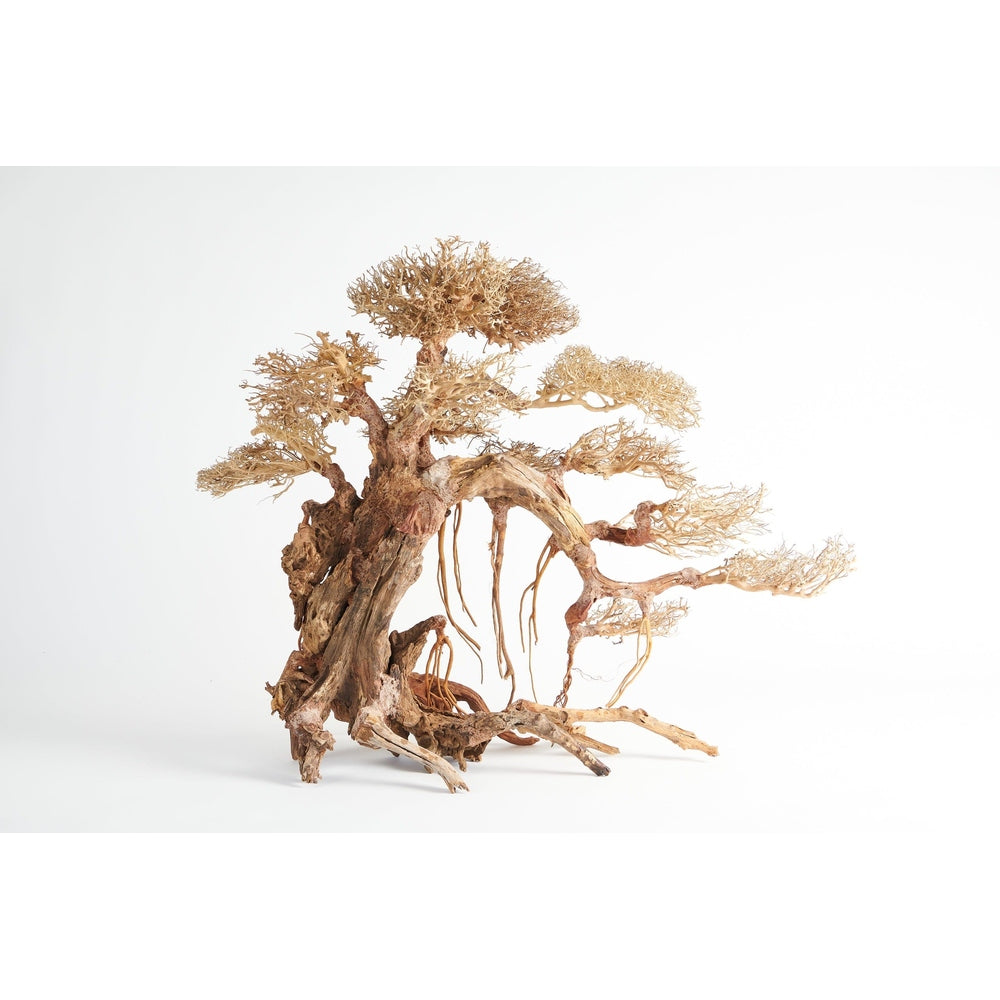 bonsai driftwood, large aquarium wood, aquascaping decor, Golden Tree Bonsai, 80x50cm driftwood, terrarium wood, planted tank hardscape, aquarium bonsai