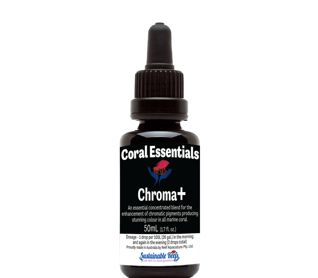 Coral Essentials Chroma