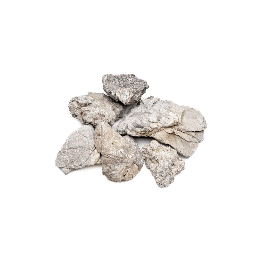 Elephant Skin Rock