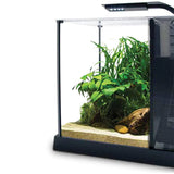 Fluval Premium Betta Kit 10 Litre