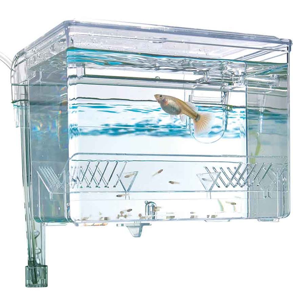Fluval Breeding Box