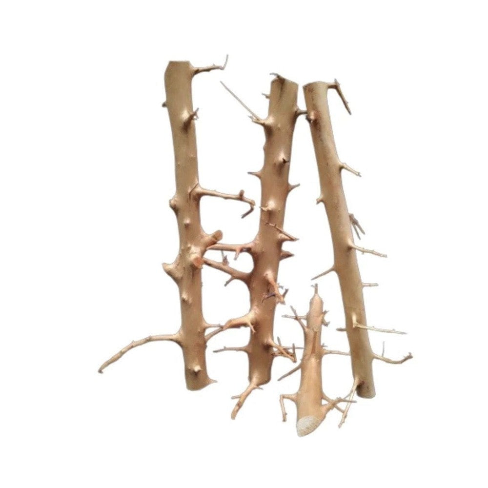 Long Hands Driftwood