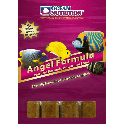 Ocean Nutrition Angel Formula