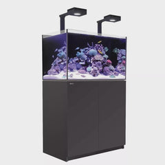 Red Sea Reefer G2+ Max 250 Complete System - Black