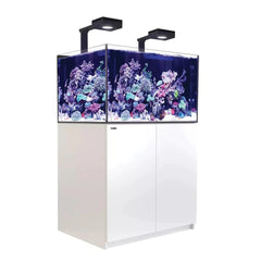 Red Sea Reefer G2+ 300 MAX (90x57.5x55cm) - White