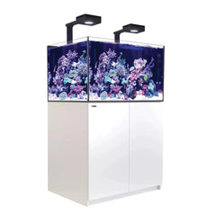 Red Sea Reefer G2+ Max 300 - White