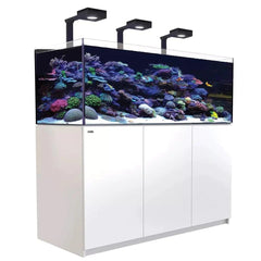 Red Sea Reefer G2+ Max 525 - White
