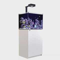 Red Sea Reefer G2+ Max 170 Complete System - White