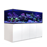 Red Sea Reefer S-1000 G2+  White