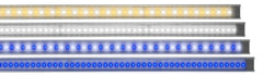 ReefBrite LumiLite 24" - Actinic