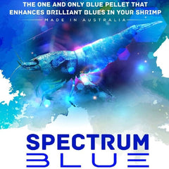 SAS Spectrum Blue