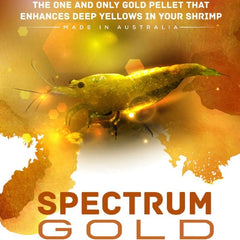 SAS Spectrum Gold Shrimp Food