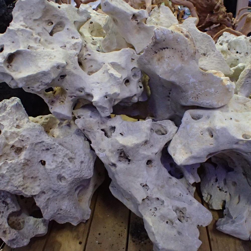 Texas Holey Rock