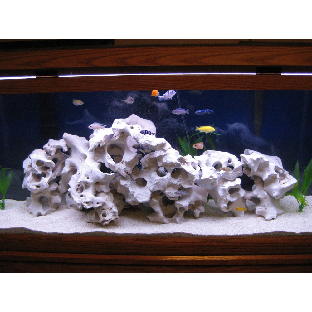 Texas Holey Rock Aquascape