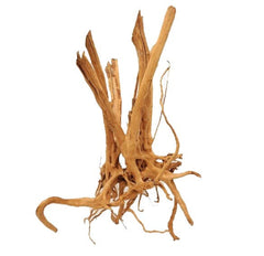 Gold Vine Tree Stump