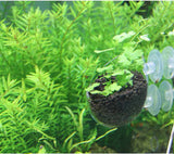 Viv Int Polka Substrate Pod