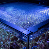 Waterbox Mesh Lid Cube 20