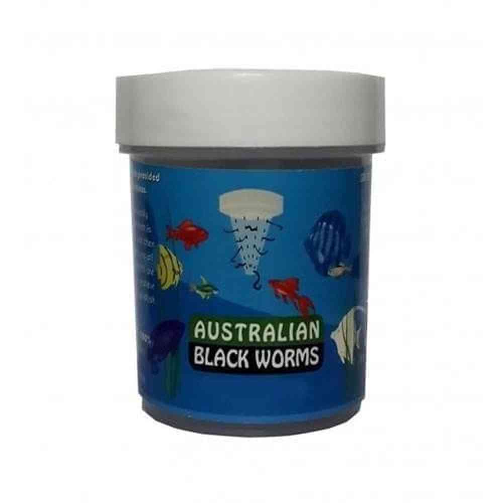 10g jar of freeze dried black worm cubes for aquarium fish