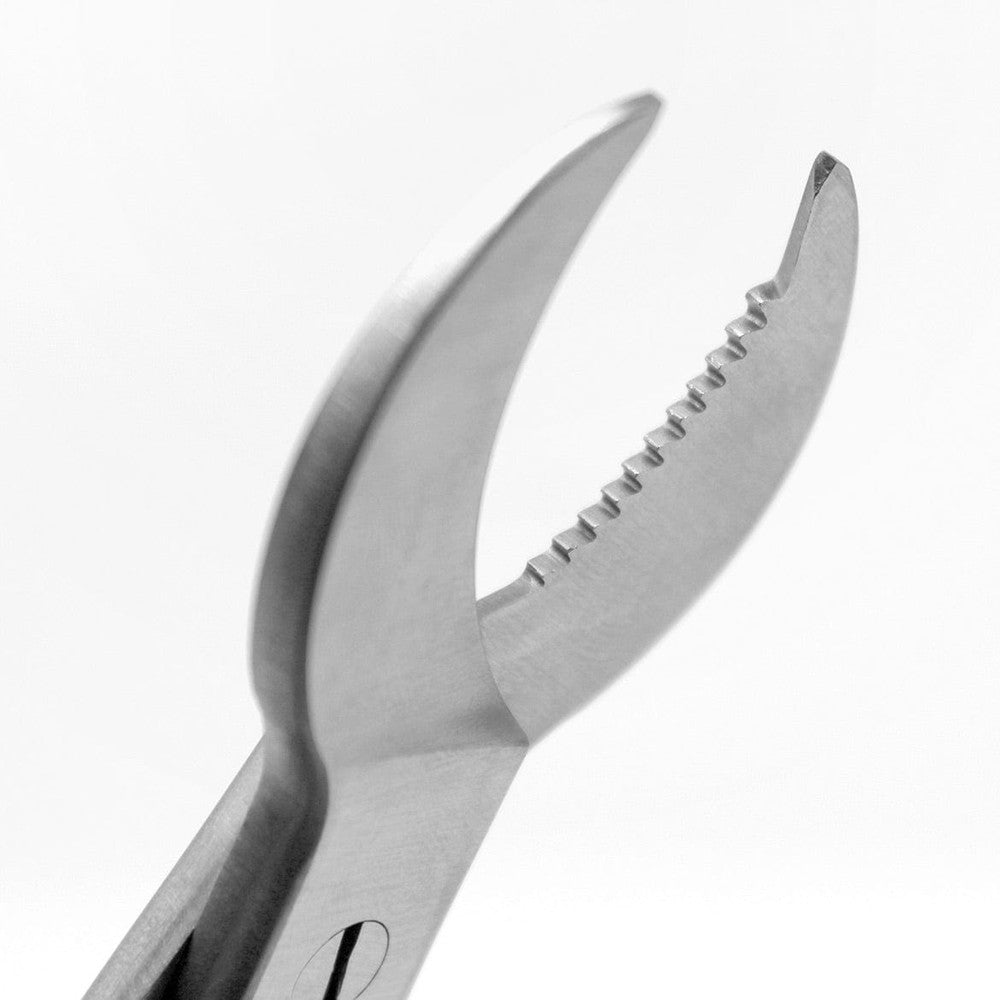 Close-up view of 20cm crescent-shaped coral cutter blade