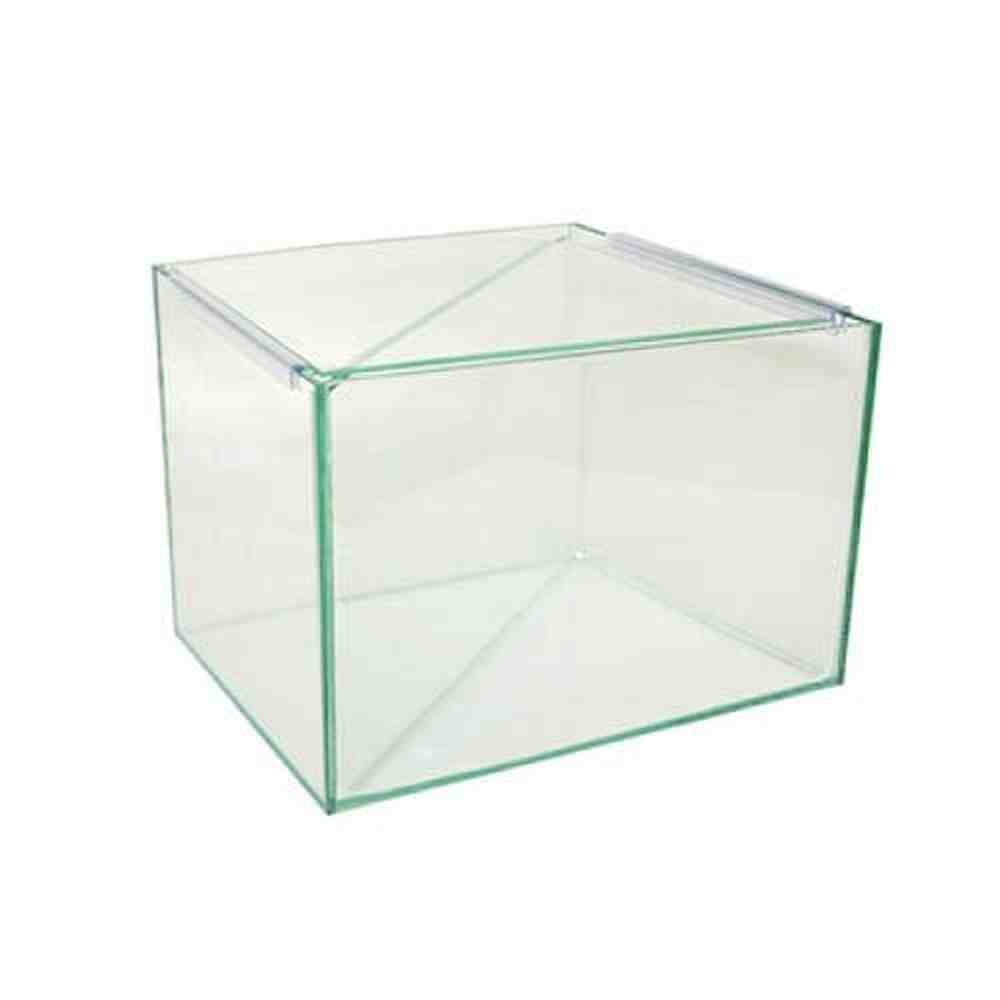 Aqua One Betta Divided Glass Tank 25x20x20