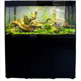 Aquael Glossy 100 Complete Set Fish tank 