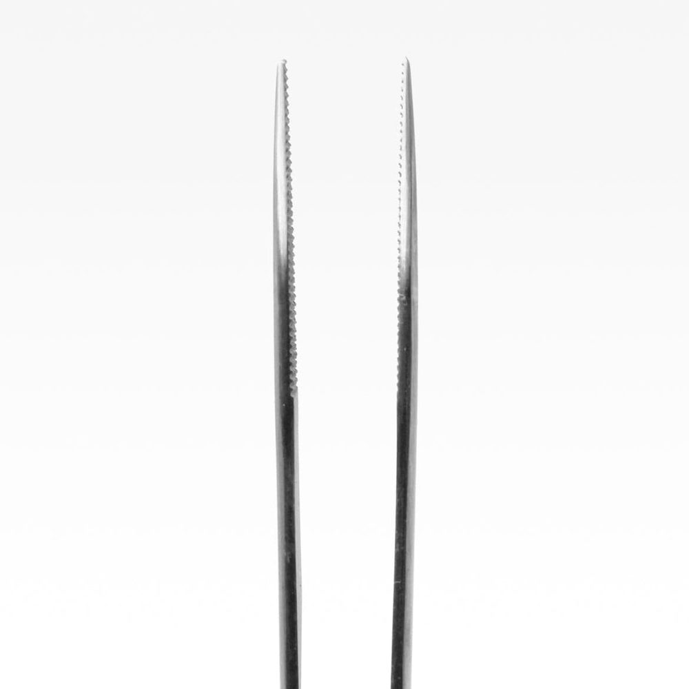Close-up of needle-fine 1 mm tip on stainless steel forceps