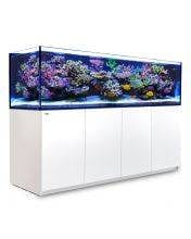 Red Sea Reefer G2 900 Complete System - White