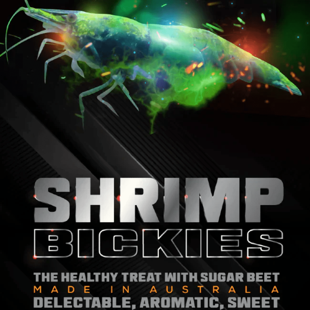 SAS Shrimp Bickies 50g – Long-lasting shrimp food treat